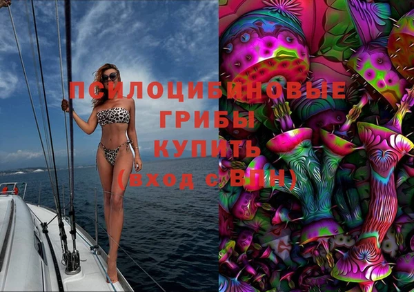 PSILOCYBIN Абинск
