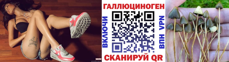 Псилоцибиновые грибы ЛСД даркнет сайт Новомичуринск